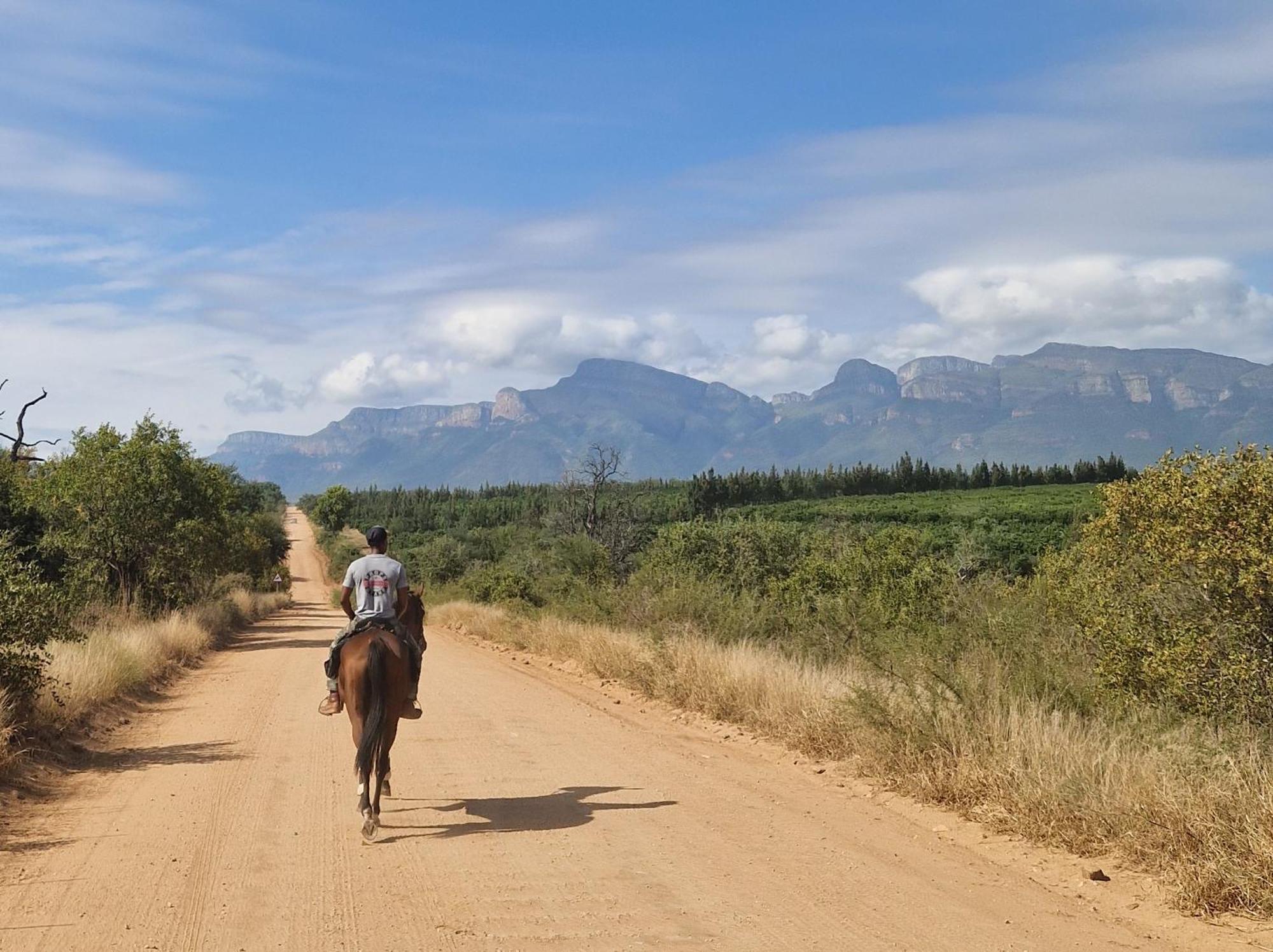 Thandolwami Bushlodge & Spa Hoedspruit Dış mekan fotoğraf